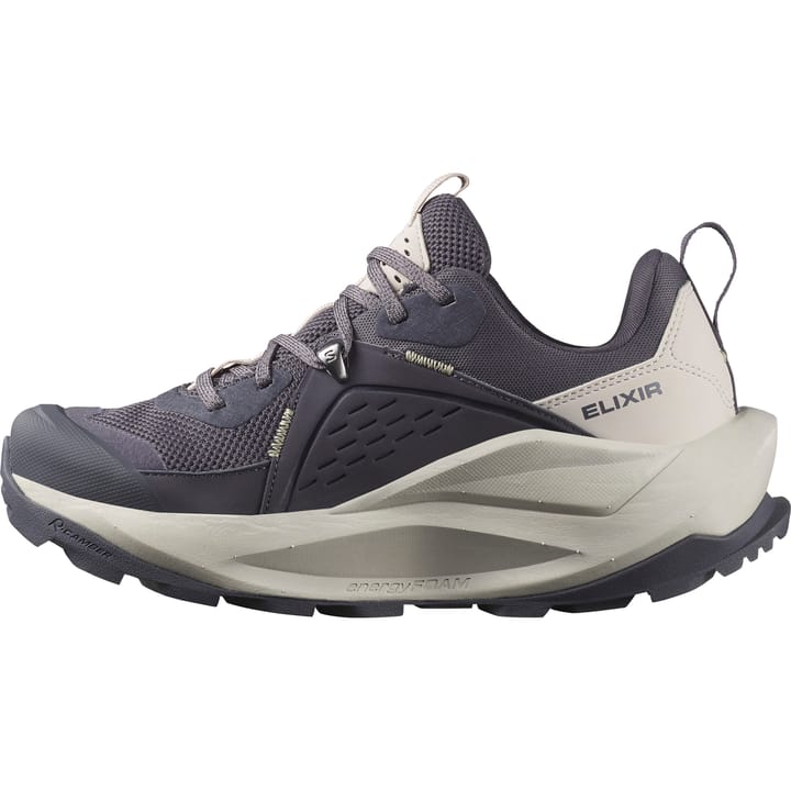 Salomon Women's Elixir GORE-TEX Nine Iron/Silver Cloud/Sponge Salomon