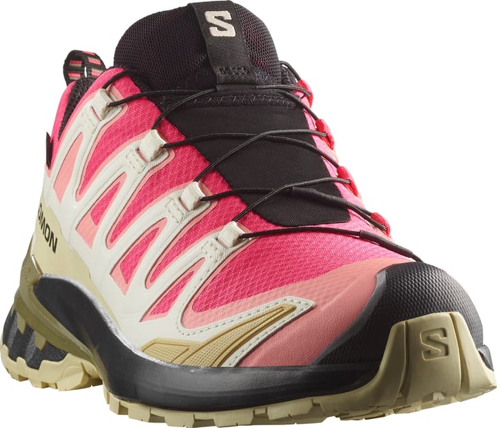 Salomon Women's XA Pro 3D V9 GORE-TEX Rouge Red/vanilla Ice/martini Olive Salomon