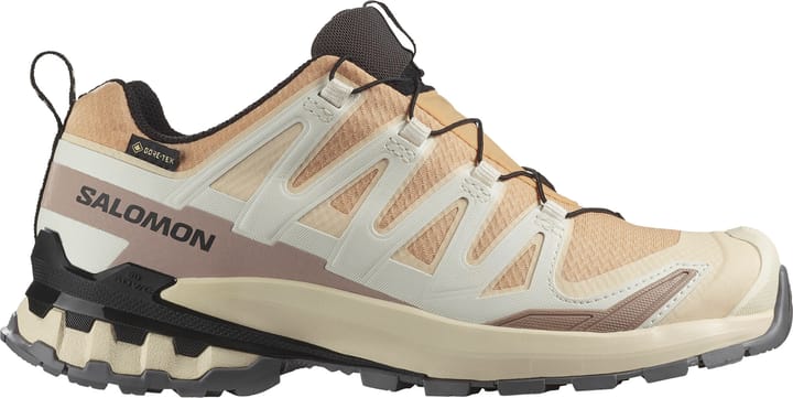 Salomon Women's XA Pro 3d V9 GORE-TEX Hazelnut / Tender Peach / Black Salomon