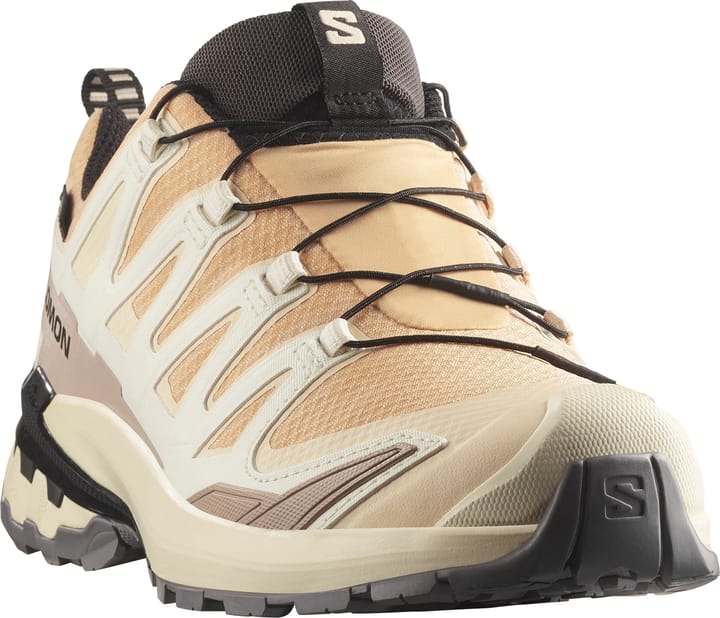 Salomon Women's XA Pro 3d V9 GORE-TEX Hazelnut / Tender Peach / Black Salomon