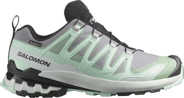 Salomon Women's XA Pro 3D V9 GORE-TEX Basic Grey Salomon