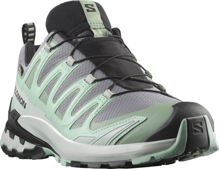 Salomon Women's XA Pro 3D V9 GORE-TEX Basic Grey Salomon