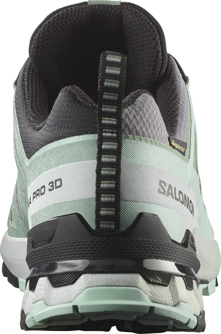 Salomon Women's XA Pro 3D V9 GORE-TEX Basic Grey Salomon