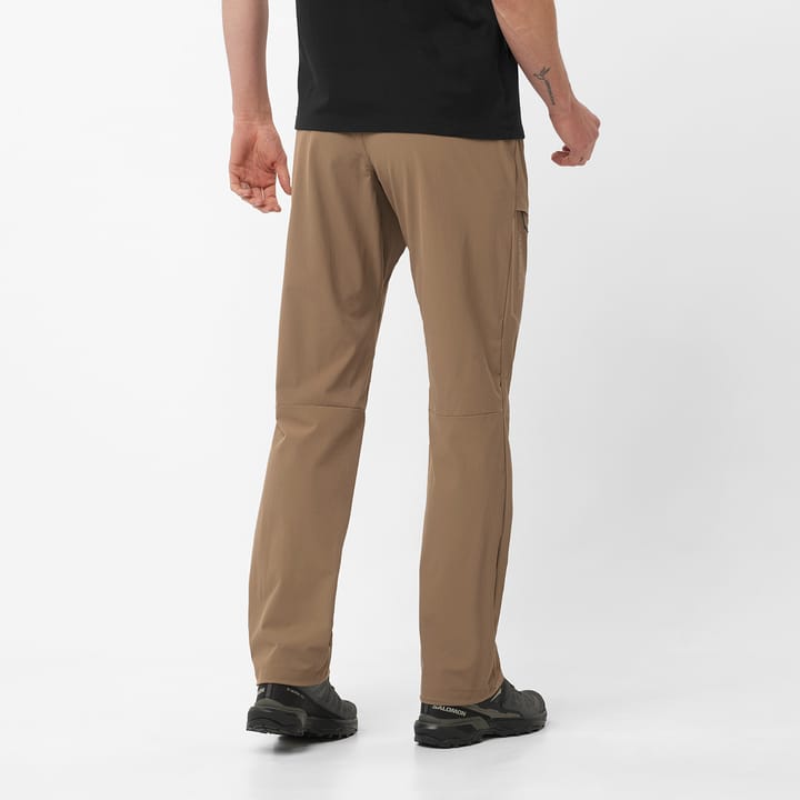 Salomon Men's Wayfarer Pant Shitake Salomon