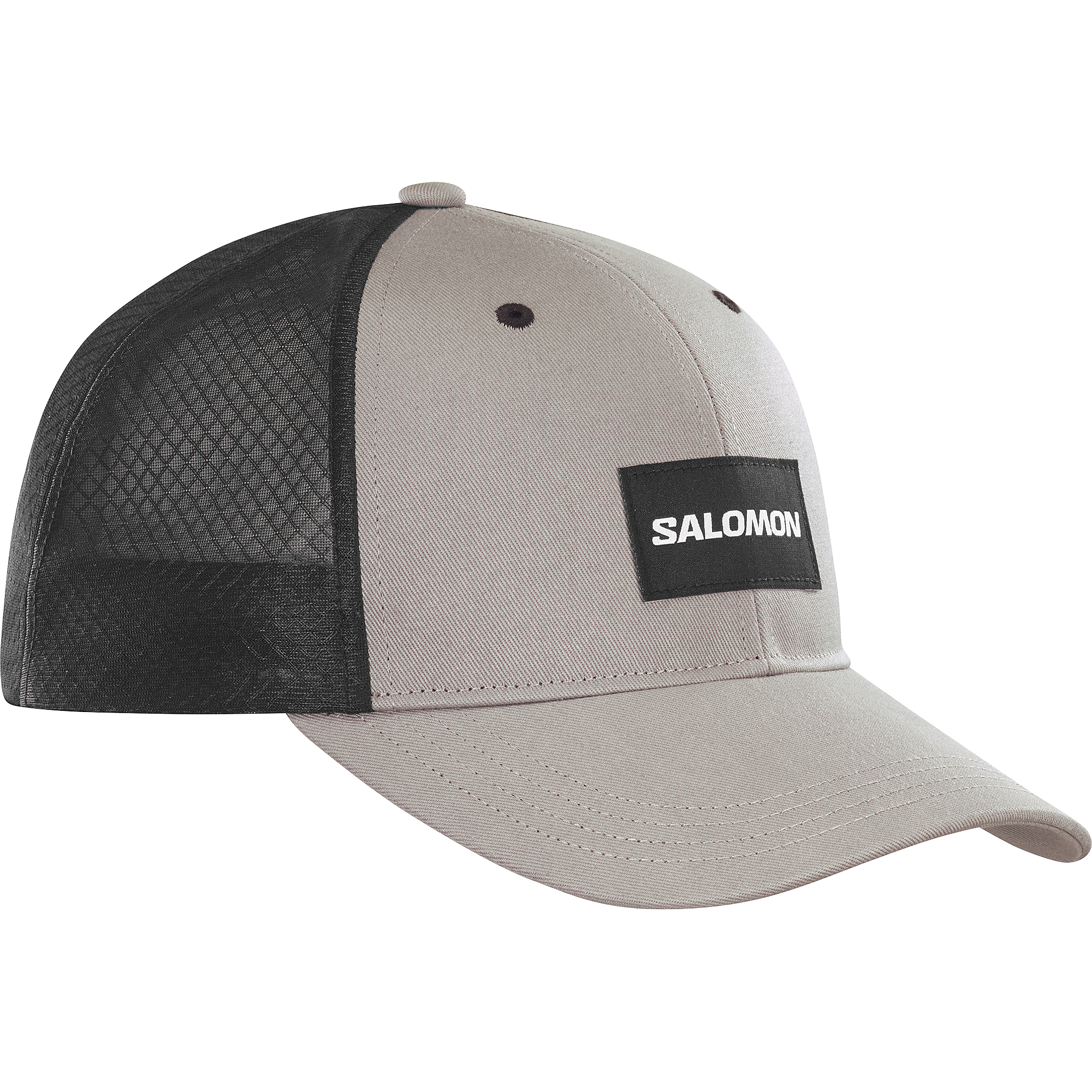 Salomon Trucker Curved Cap Frost Gray/Deep Black