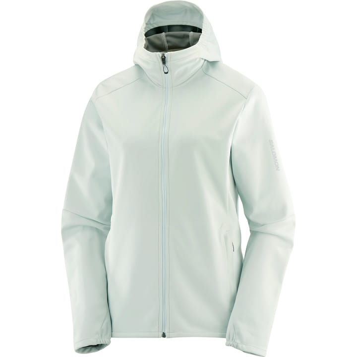 Salomon Women's GORE-TEX Softshell Jacket Misty Blue Salomon