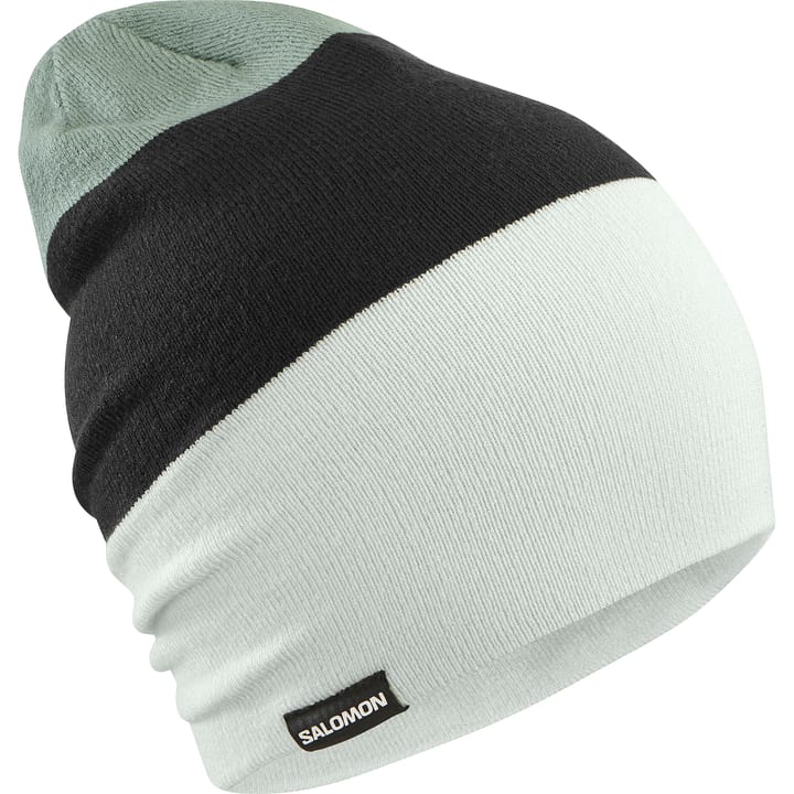 Salomon Flatspin Reversible Beanie Misty Blue / Deep Black / Arctic Salomon