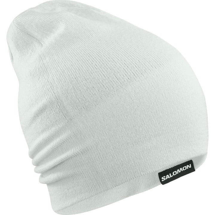 Salomon Flatspin Reversible Beanie Misty Blue / Deep Black / Arctic Salomon