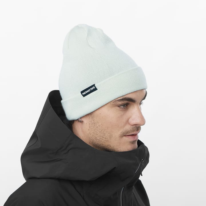 Salomon Flatspin Reversible Beanie Misty Blue / Deep Black / Arctic Salomon