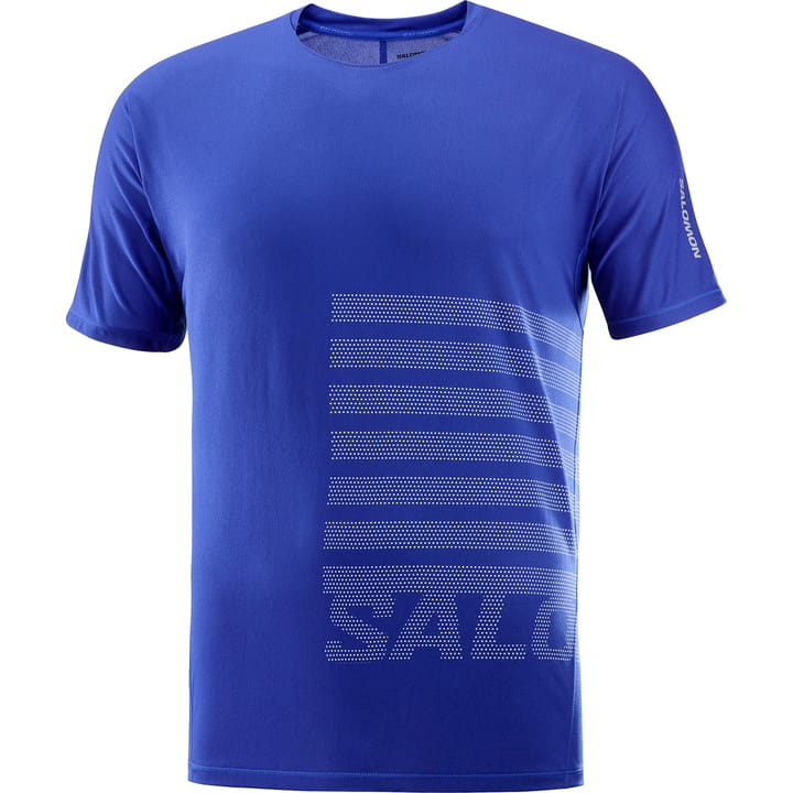 Salomon Sense Aero Ss Tee Gfx M Surf The Web / Rainy Day Salomon