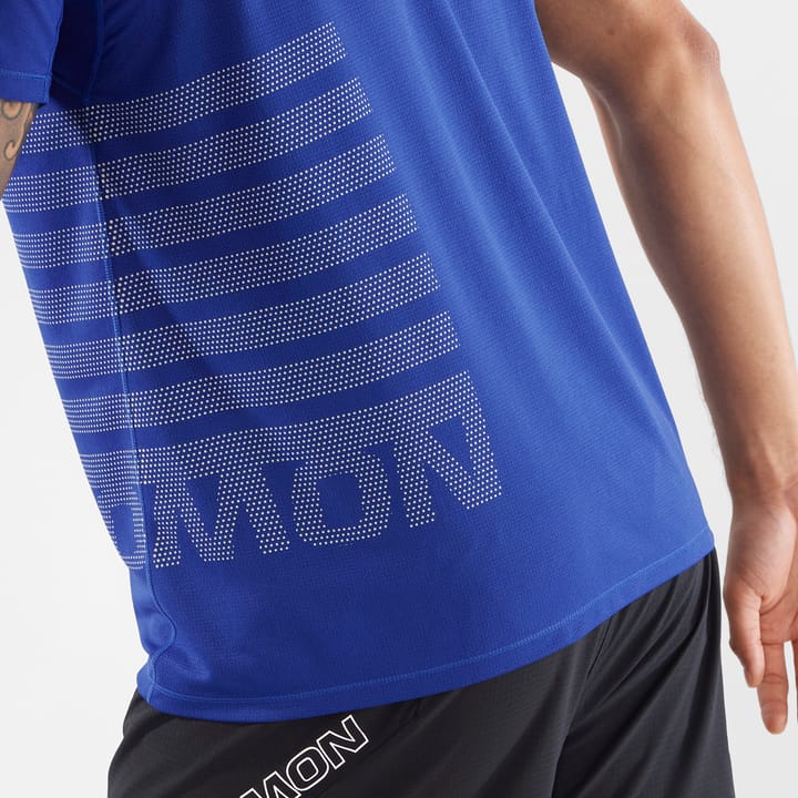 Salomon Sense Aero Ss Tee Gfx M Surf The Web / Rainy Day Salomon