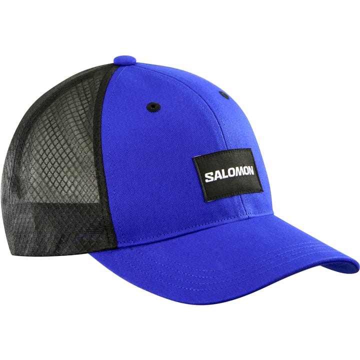 Salomon Trucker Curved Surf The Web / Deep Black Salomon