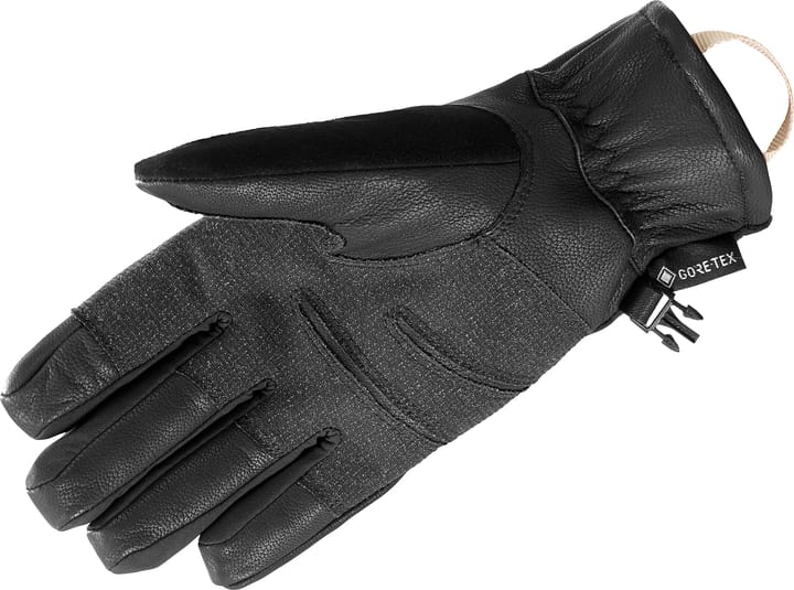 Salomon Mtn GORE-TEX Glove Deep Black Salomon