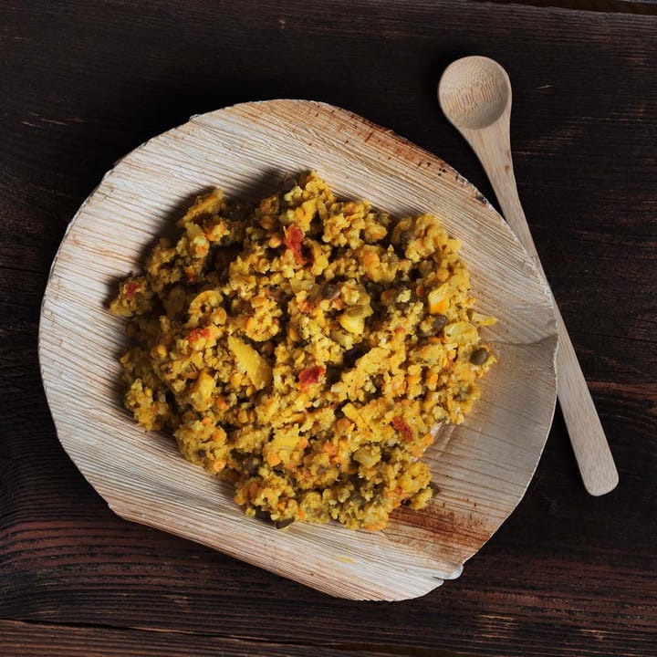 Lentil Dal Nocolour Lyofood