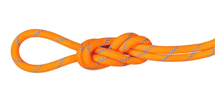 Mammut 8.7 Alpine Sender Dry Rope Dry Standard 70m Mammut