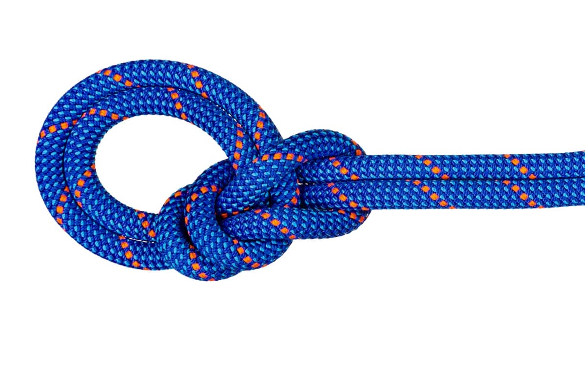 Mammut 9.5 Crag Dry Rope Dry Standard/Blue/Ocean