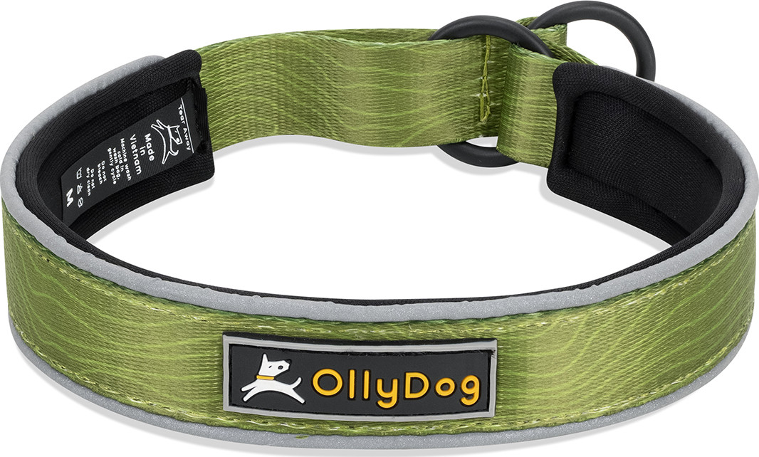 OllyDog Martingale Reflective Comfort Collar Cactus, S