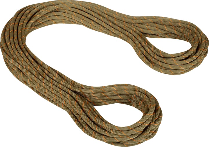 Mammut 9.9 Gym Workhorse Classic Rope Classic 50m Standard/Boa Mammut