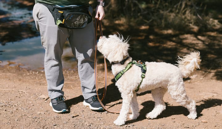 OllyDog Rubber Grip Reflective Leash Clay OllyDog