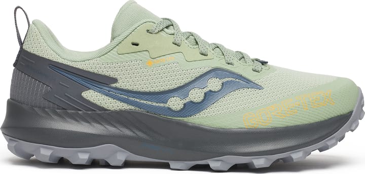 Saucony Women's Peregrine 14 GORE-TEX Sage/Carbon Saucony