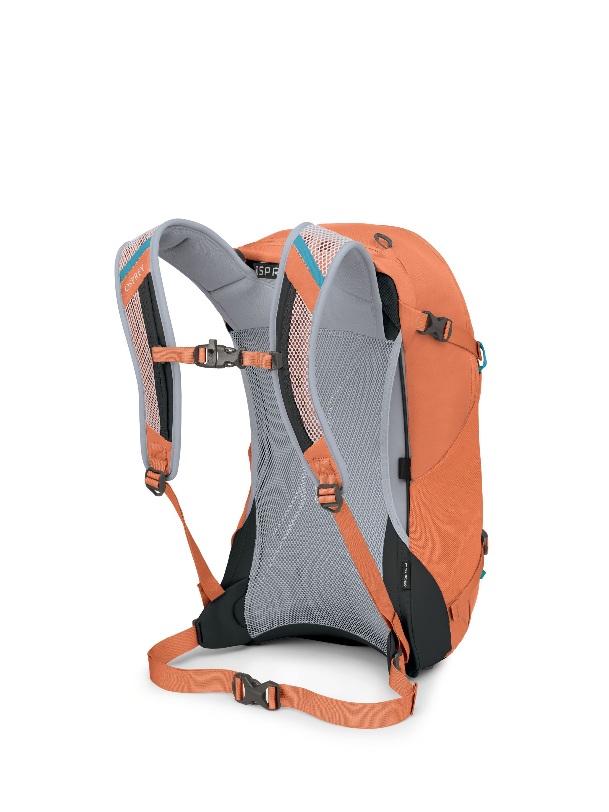 Osprey hike lite 26 best sale