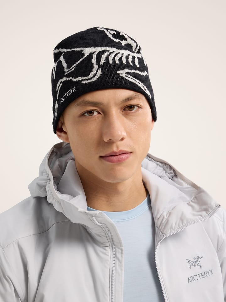 Arc'teryx Bird Head Toque Orca Arc'teryx