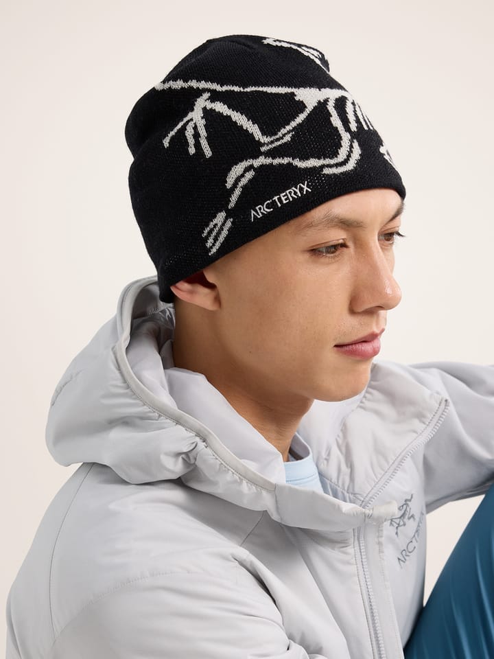 Arc'teryx Bird Head Toque Orca Arc'teryx