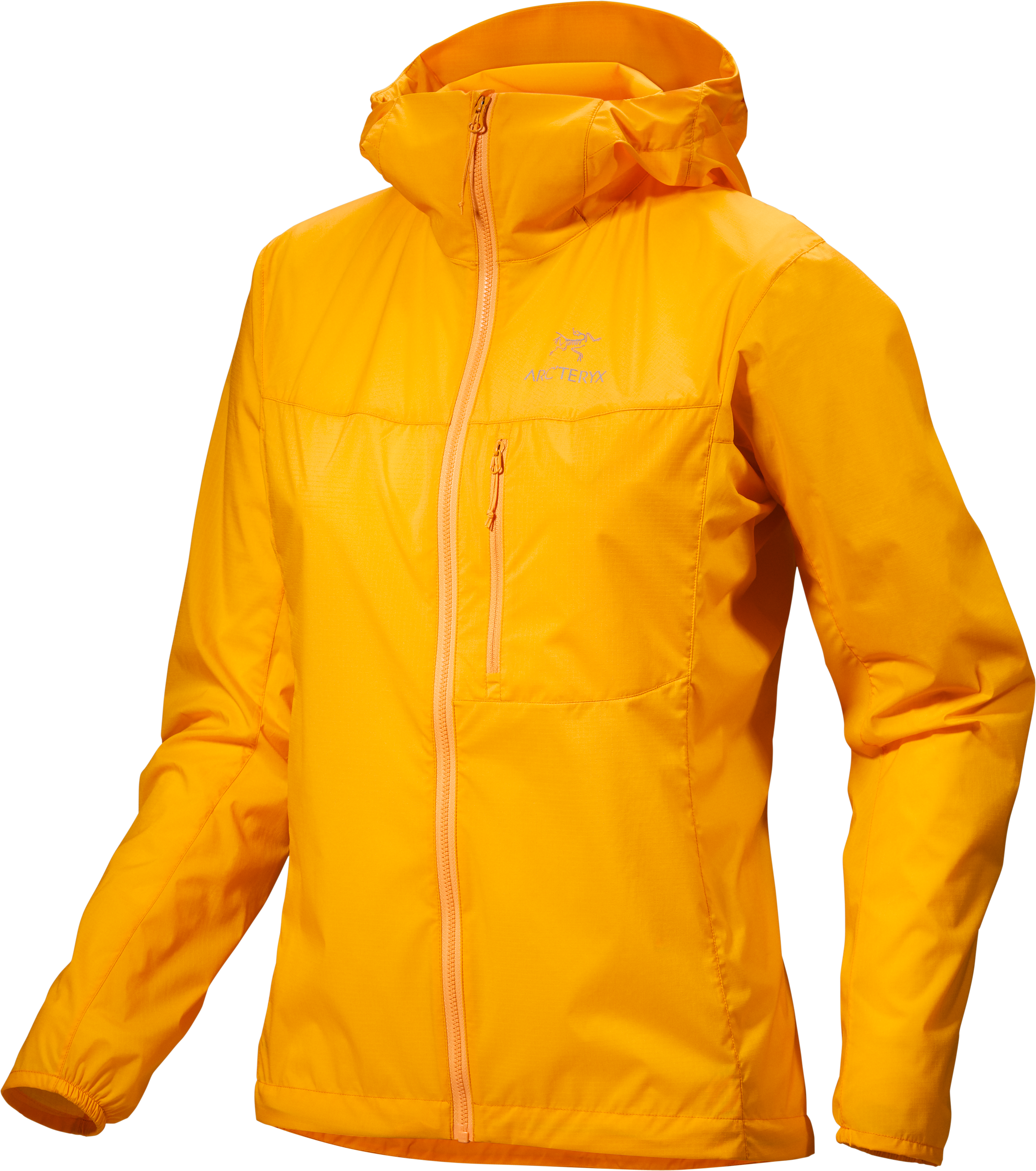 Arcteryx Arc’teryx Women’s Squamish Hoody Edziza