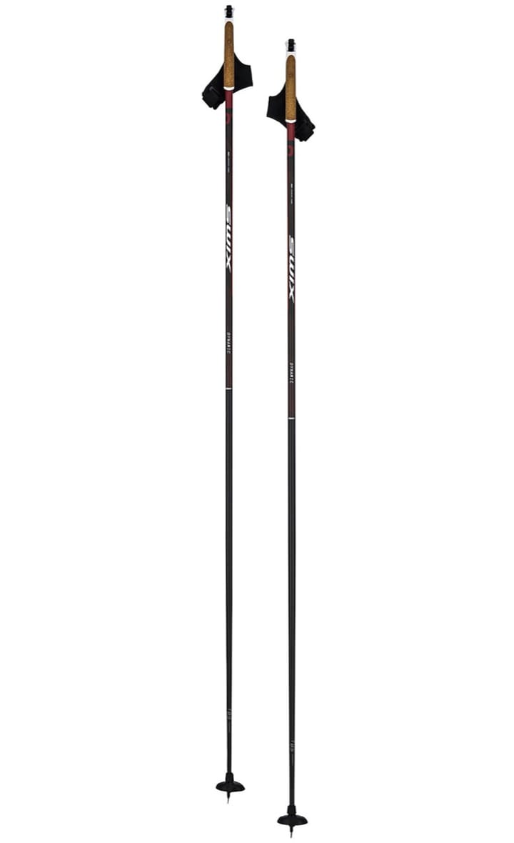 Swix Dynamic D1 Pole Nocolour Swix