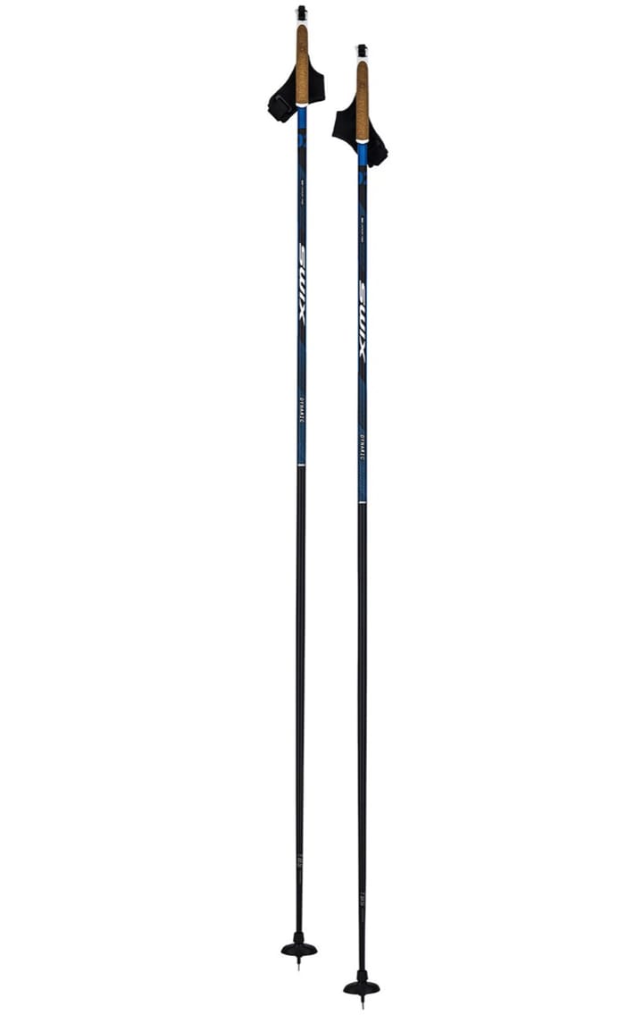 Swix Dynamic D2 Pole Nocolour Swix