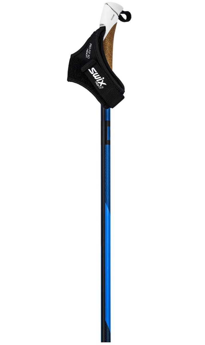 Swix Dynamic D2 Pole Nocolour Swix