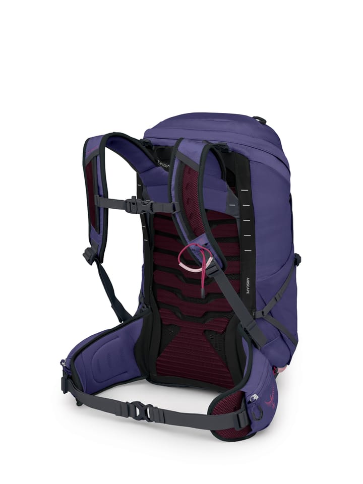 Osprey Tempest 26 Deep Fig/hotspot Pink Osprey