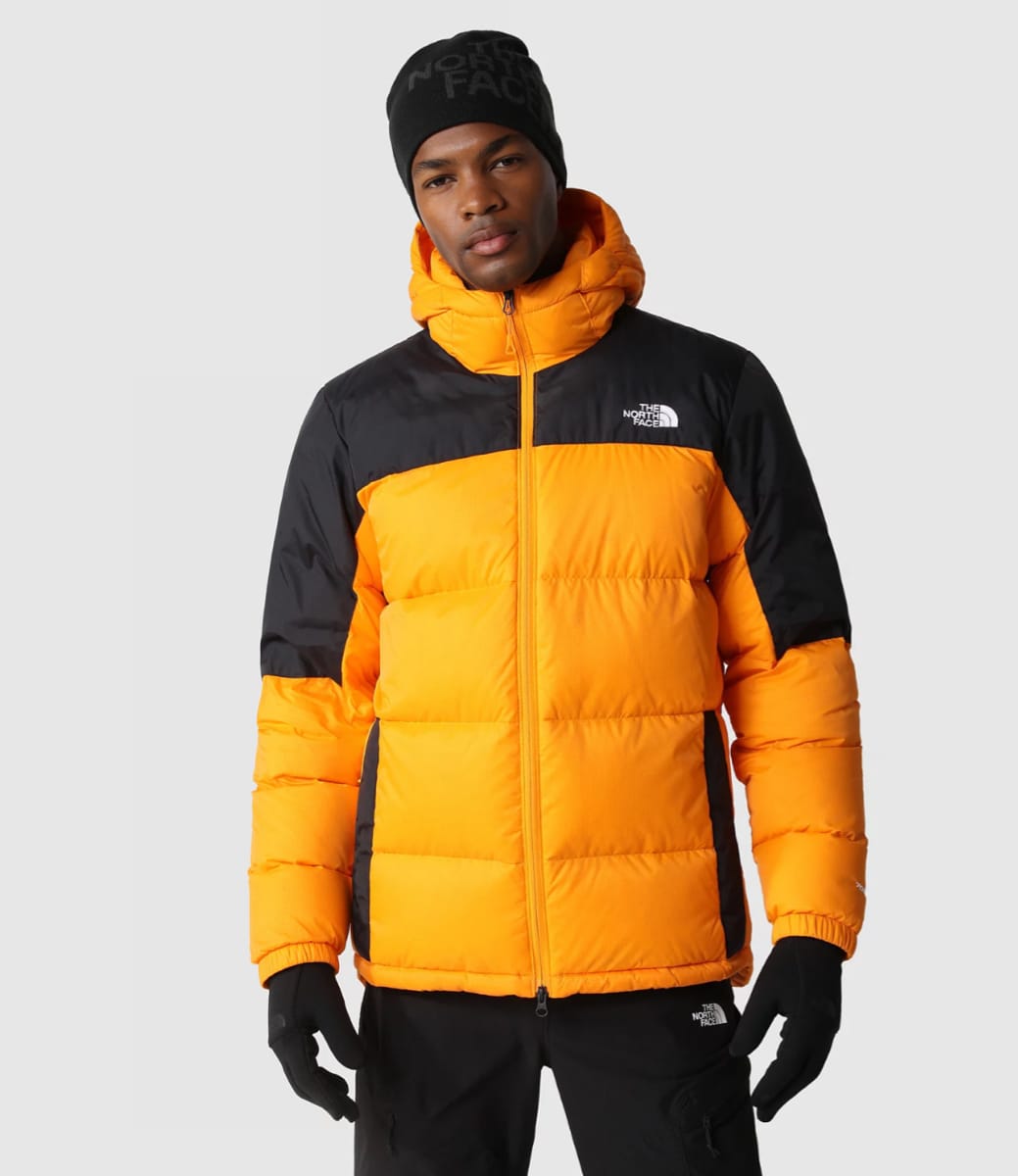 日本代理店正規品 （新品未使用）THE NORTH FACE M DIABLO DWN HOOD