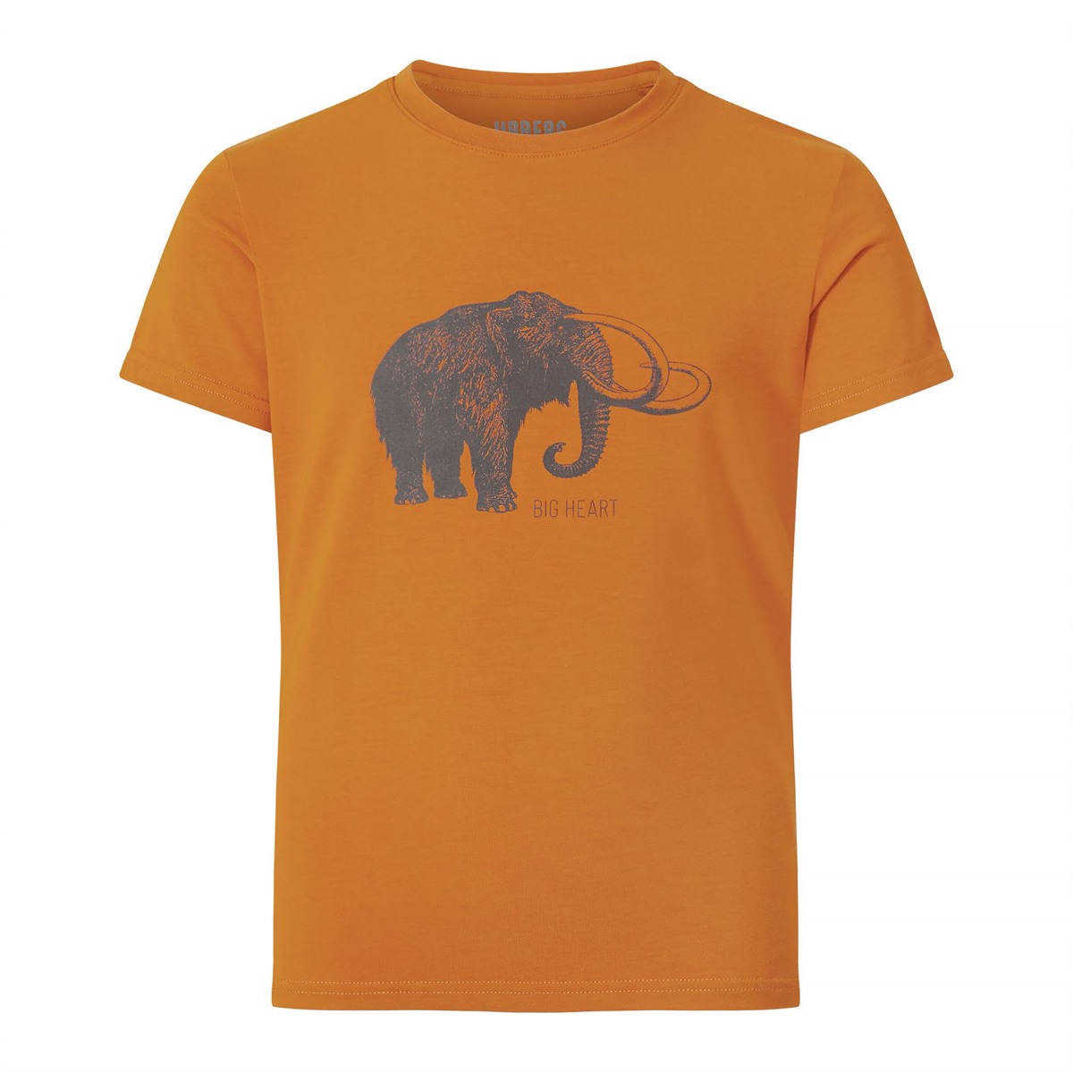 Urberg Kids’ Tafjord Bamboo Tee Pumpkin Spice