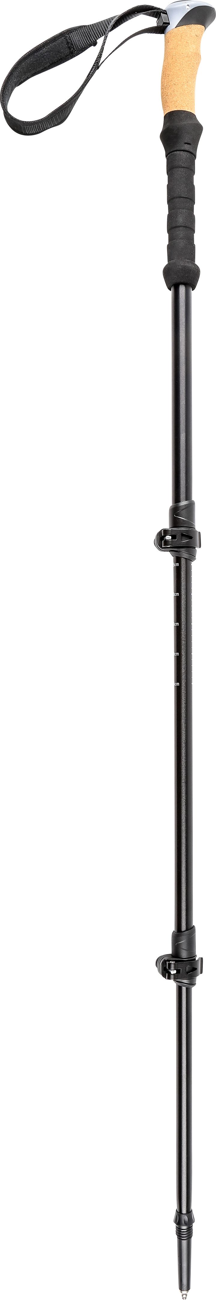 Pool 12 Speedstick Wading Pole2 Black Pool 12