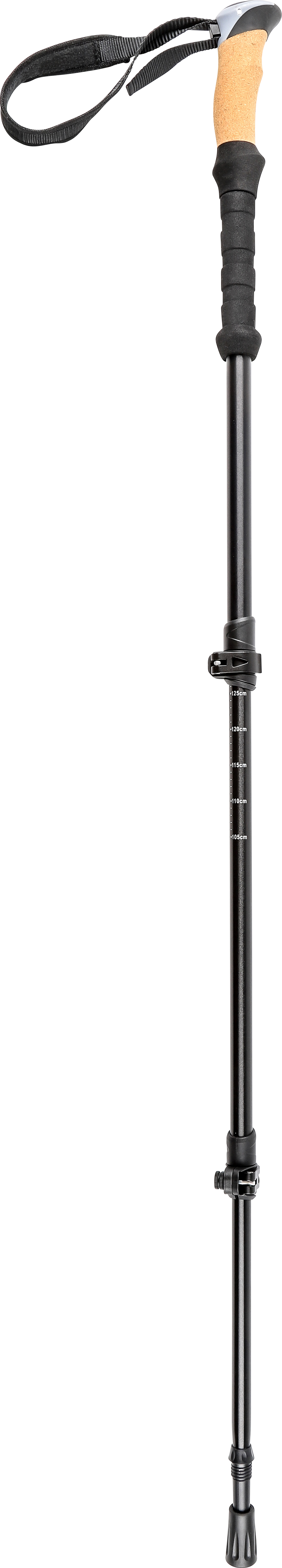 Pool 12 Speedstick Wading Pole2 Black