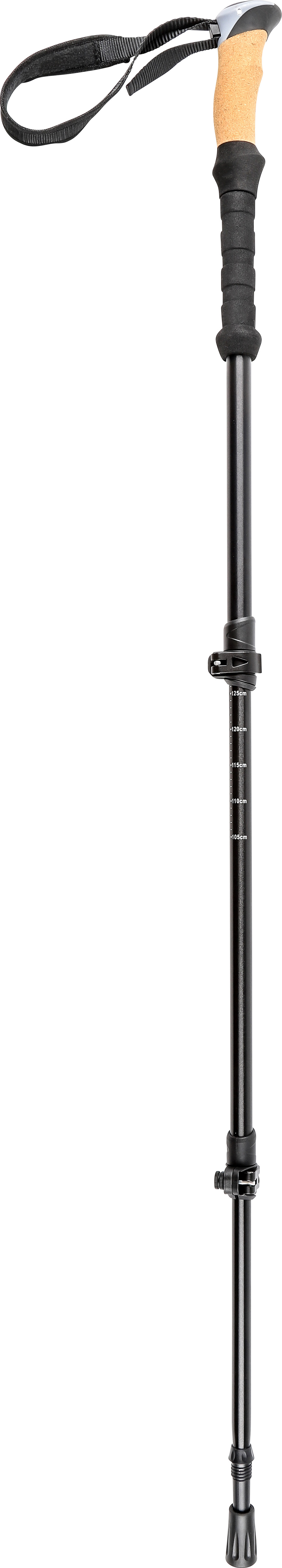 Pool 12 Speedstick Wading Pole2 Black