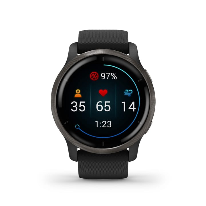 Garmin Venu 2 Black Slate Garmin