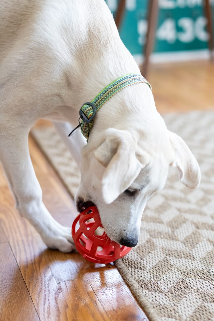 OllyDog Waffle Ball Fiesta OllyDog