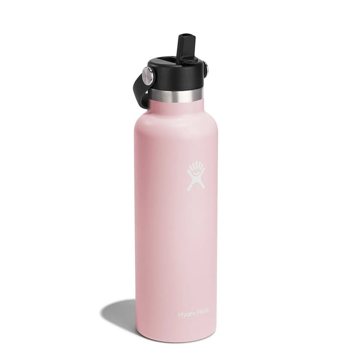 Hydro Flask Standard Mouth with Flex Straw Cap 621 ml Trillium Hydro Flask