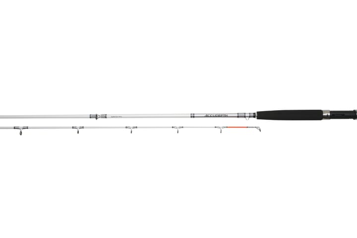 Daiwa Daiwa Accudepth Trolling Daiwa