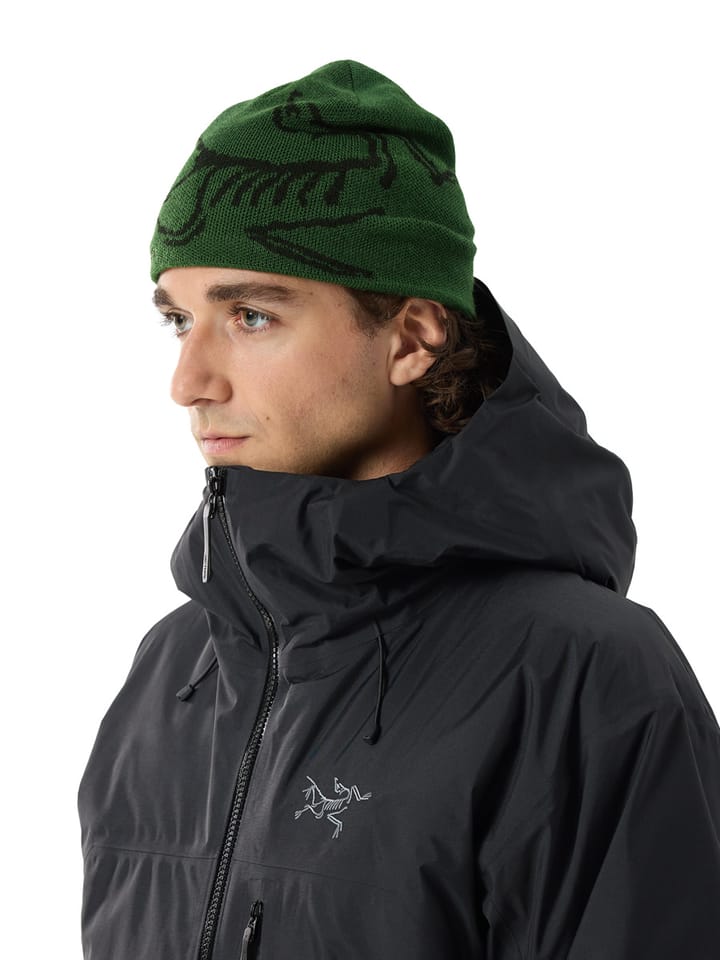 Arc'teryx Bird Head Toque Eden/Black Arc'teryx