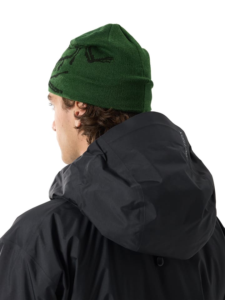 Arc'teryx Bird Head Toque Eden/Black Arc'teryx