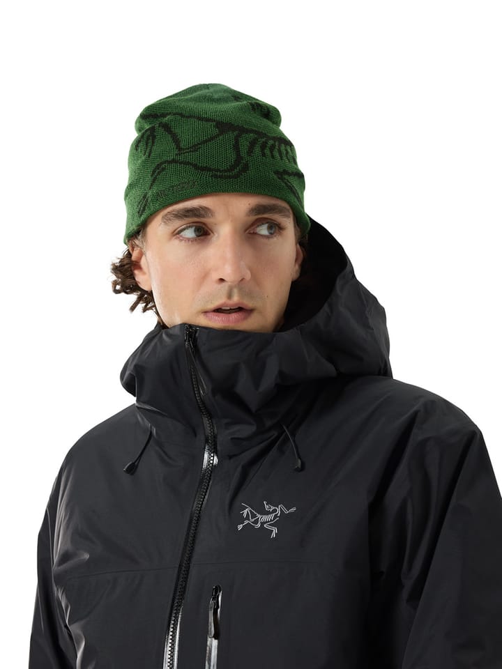 Arc'teryx Bird Head Toque Eden/Black Arc'teryx