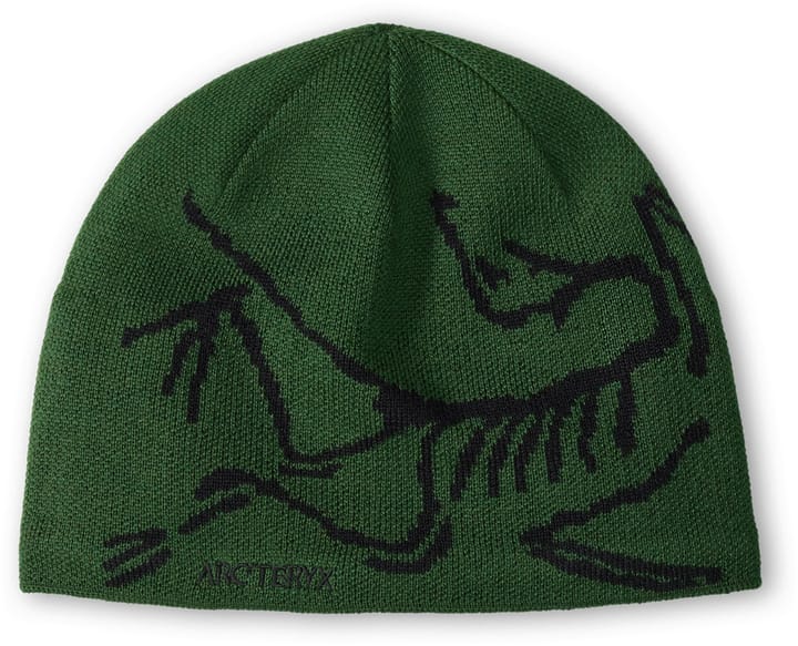 Arc'teryx Bird Head Toque Eden/Black Arc'teryx