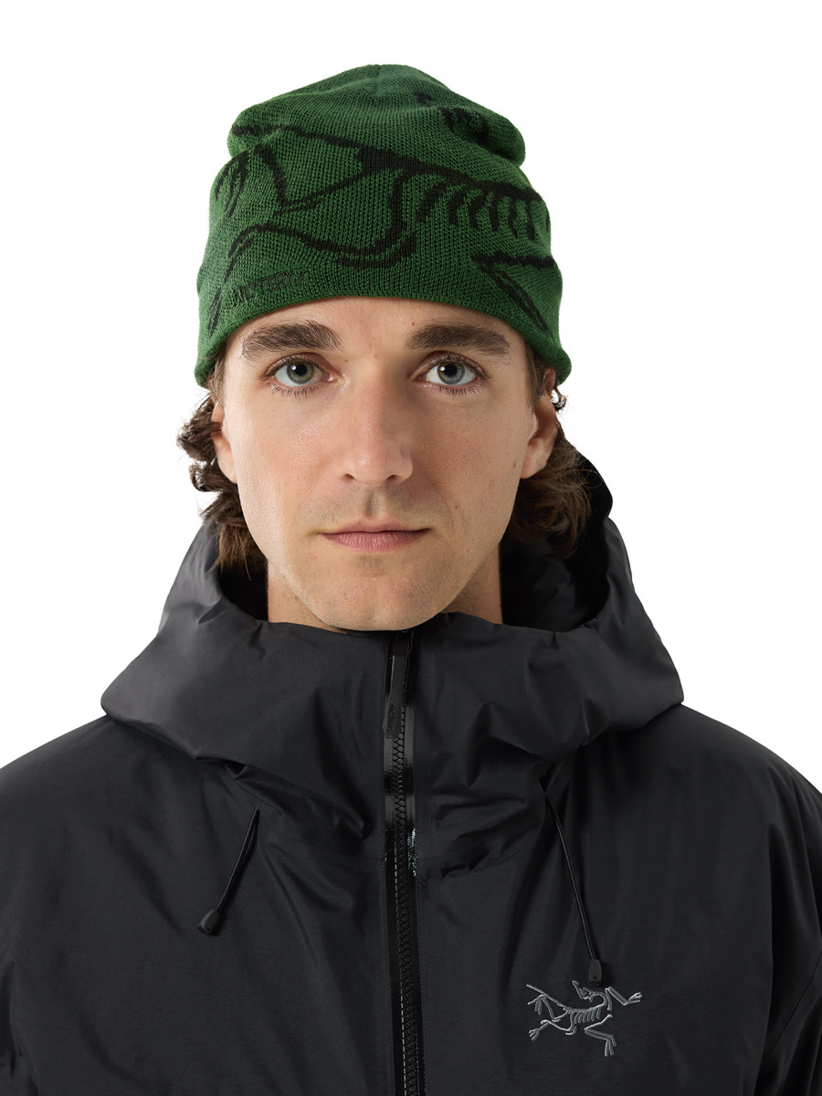 Arcteryx Arc’teryx Bird Head Toque Eden/Black