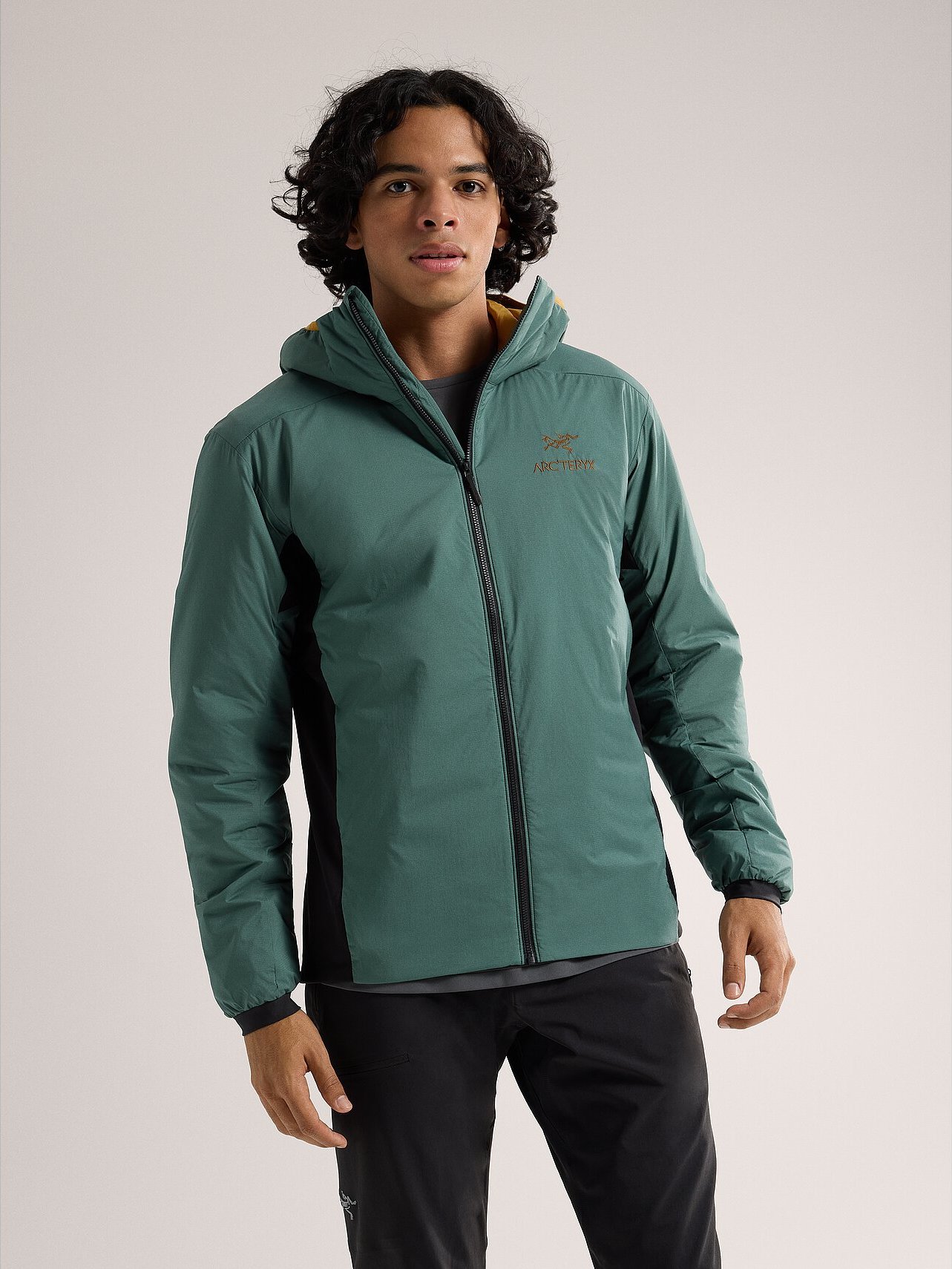 Arc'teryx Men's Atom Hoody Boxcar | Buy Arc'teryx Men's Atom Hoody 