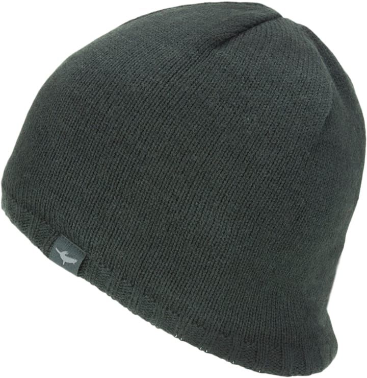 Sealskinz Waterproof Cold Weather Beanie Hat (spring 2023) Black Sealskinz