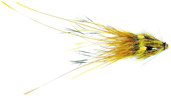 Frodin Flies Frödin Pig Series Black Frodin Flies