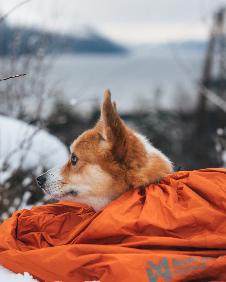 Non-stop Dogwear Bivvy Bag Orange Large Non-stop Dogwear